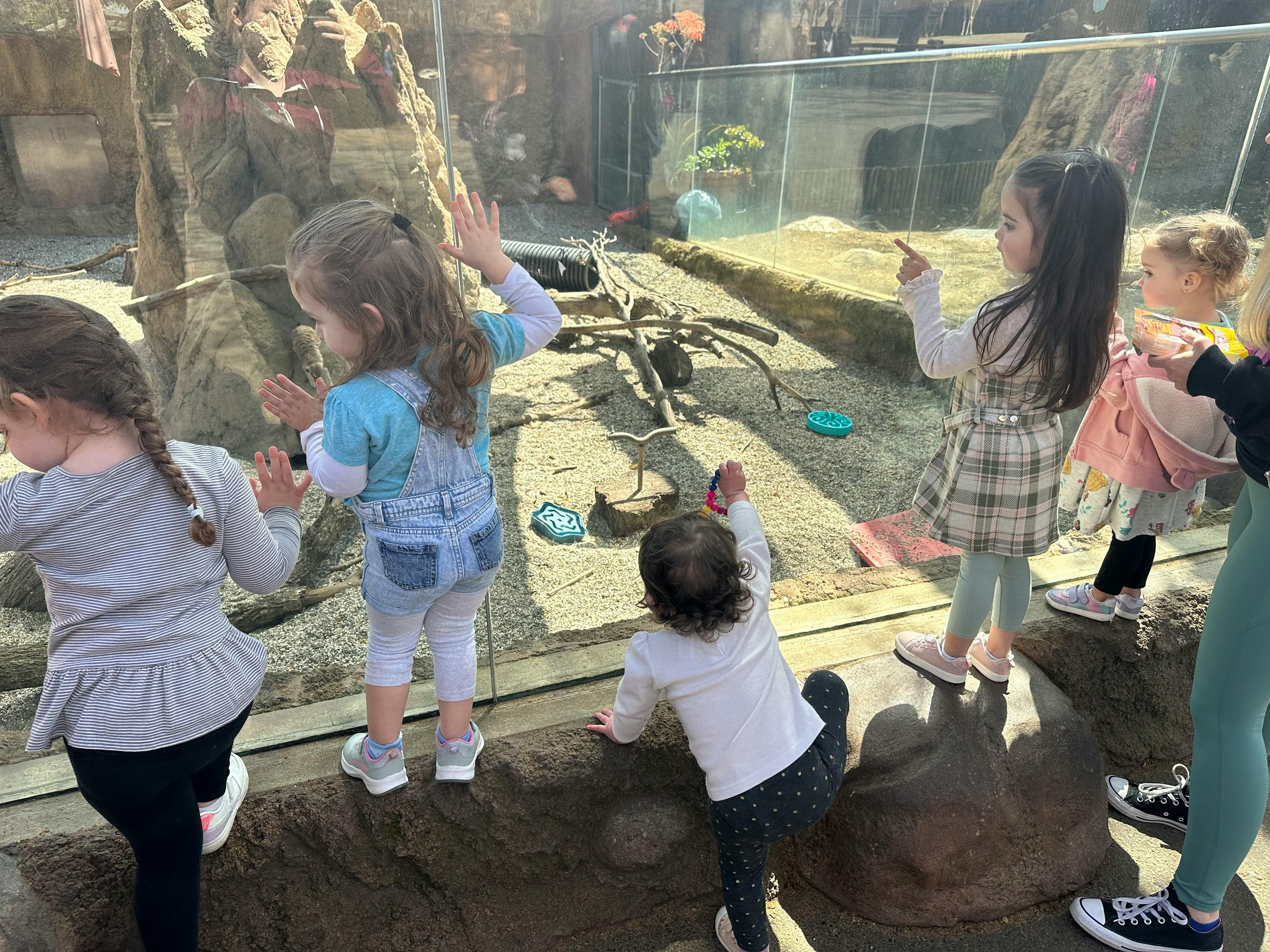 Children looking into an animal enclosure
