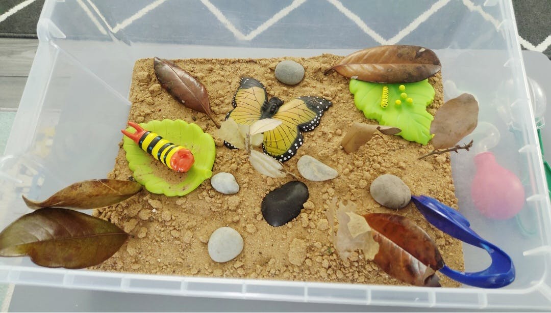 Sandbox with toy caterpillar, butterfly, leaves, and pebbles