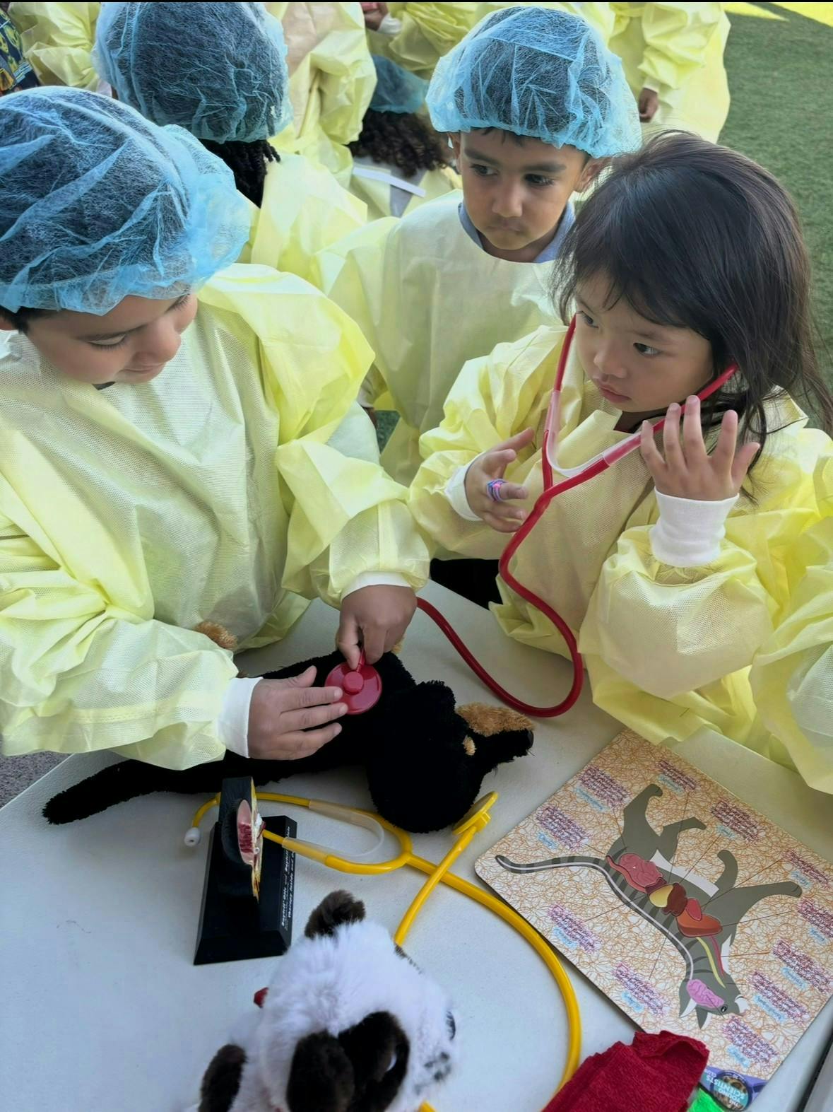 Children in medical gowns and hairnets using stethoscopes on stuffed animals