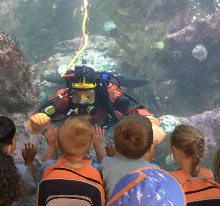 Diver in an aquarium interacting with children