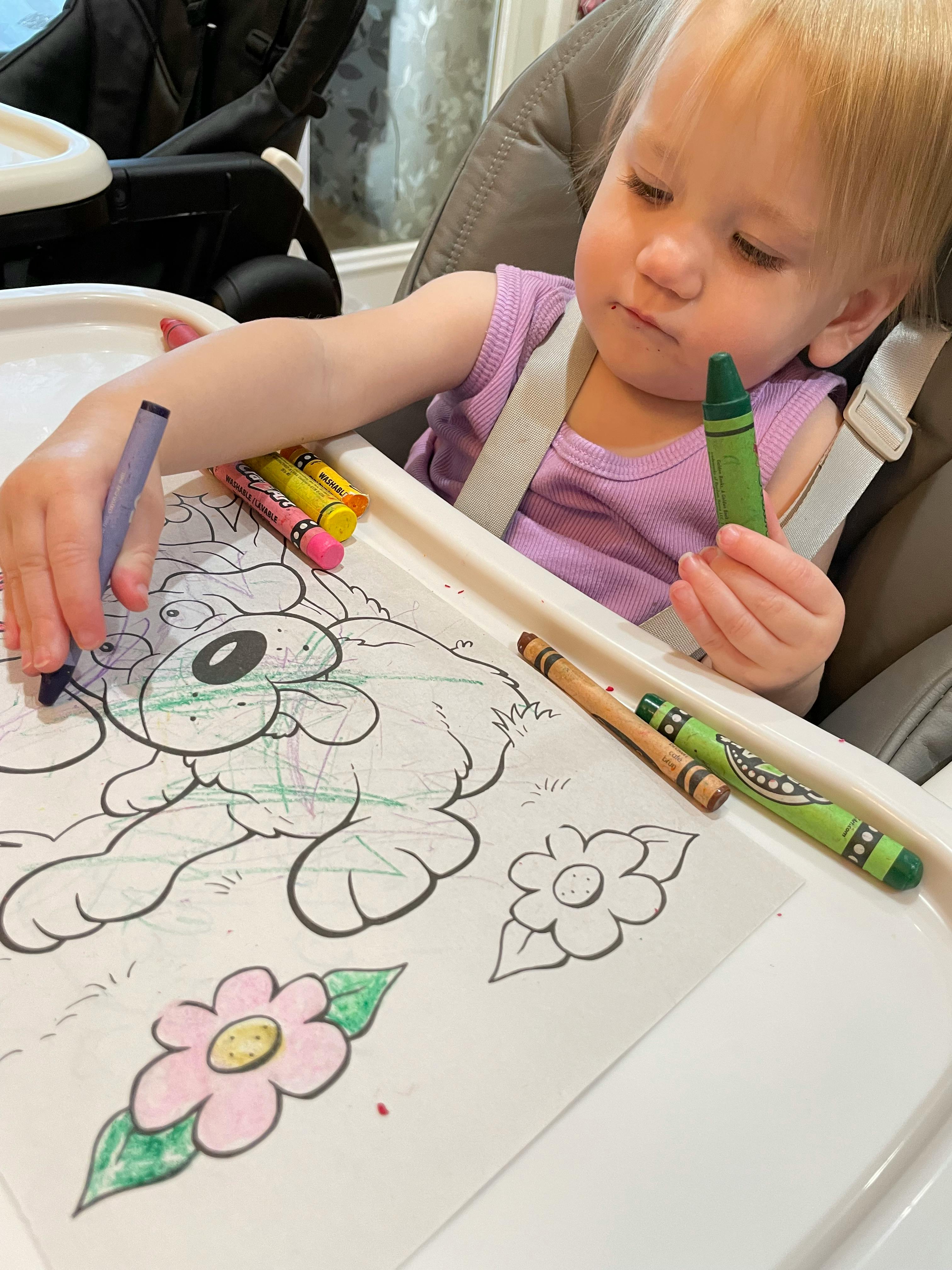 Child in a high chair coloring a picture of a dog with crayons