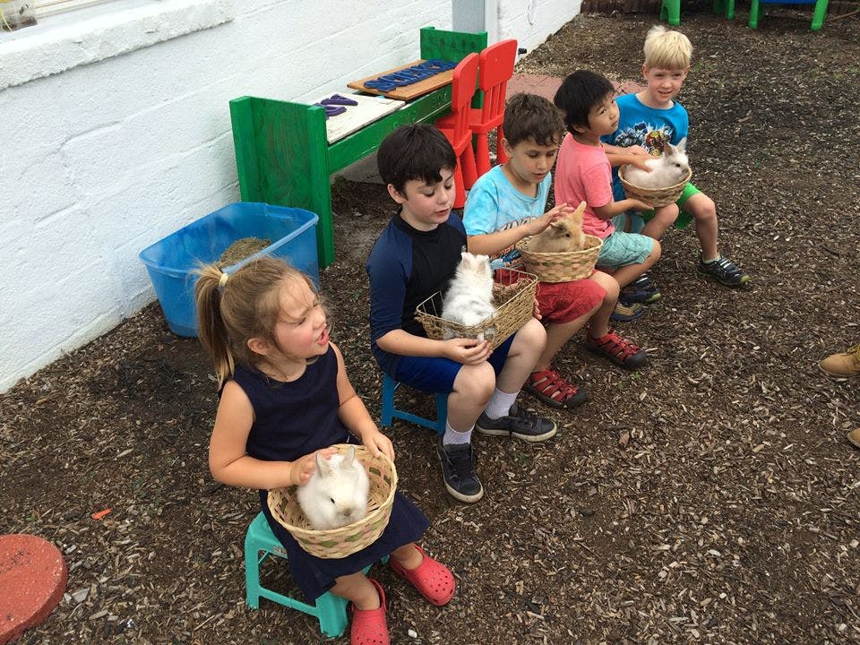 Children sitting on stools outdoors, each holding a rabbit in a basket