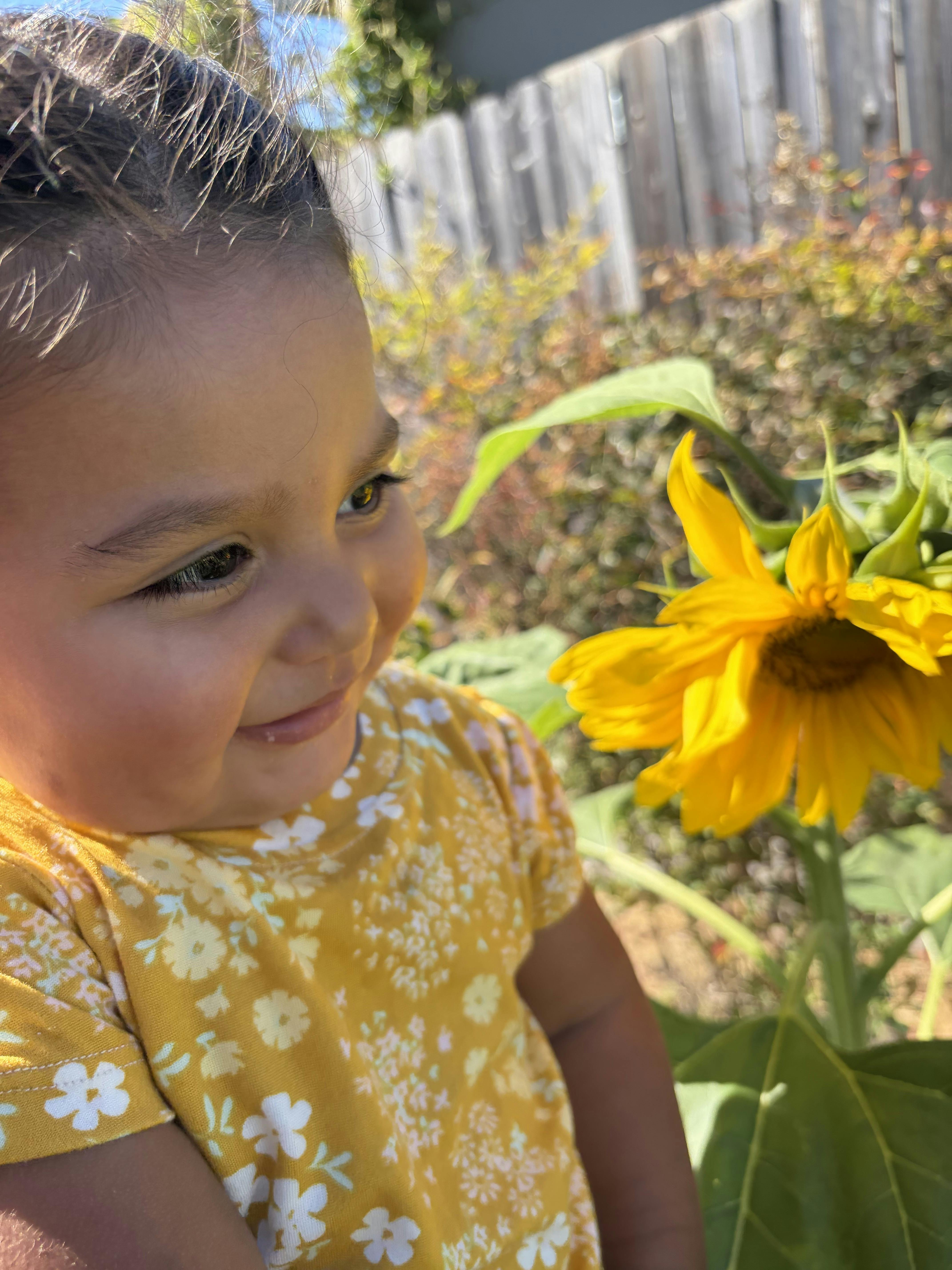 Child standing next to a sunflower outdoors