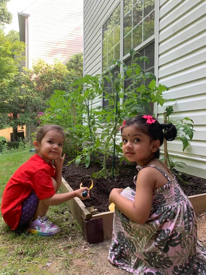 Two young children crouching next to a raised garden bed with plants