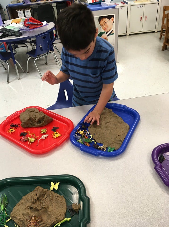 Child playing with sand and plastic insects in trays