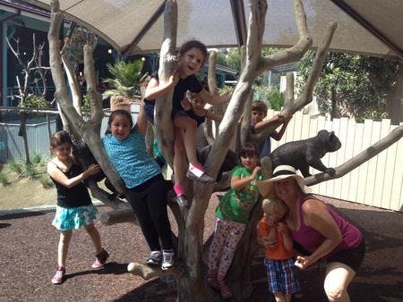 Children and adults climbing on a large artificial tree structure