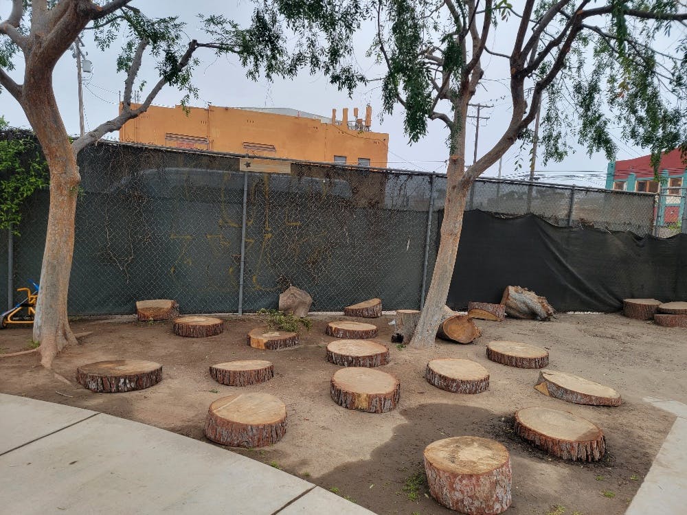 Tree stumps arranged in a circle on the ground under trees