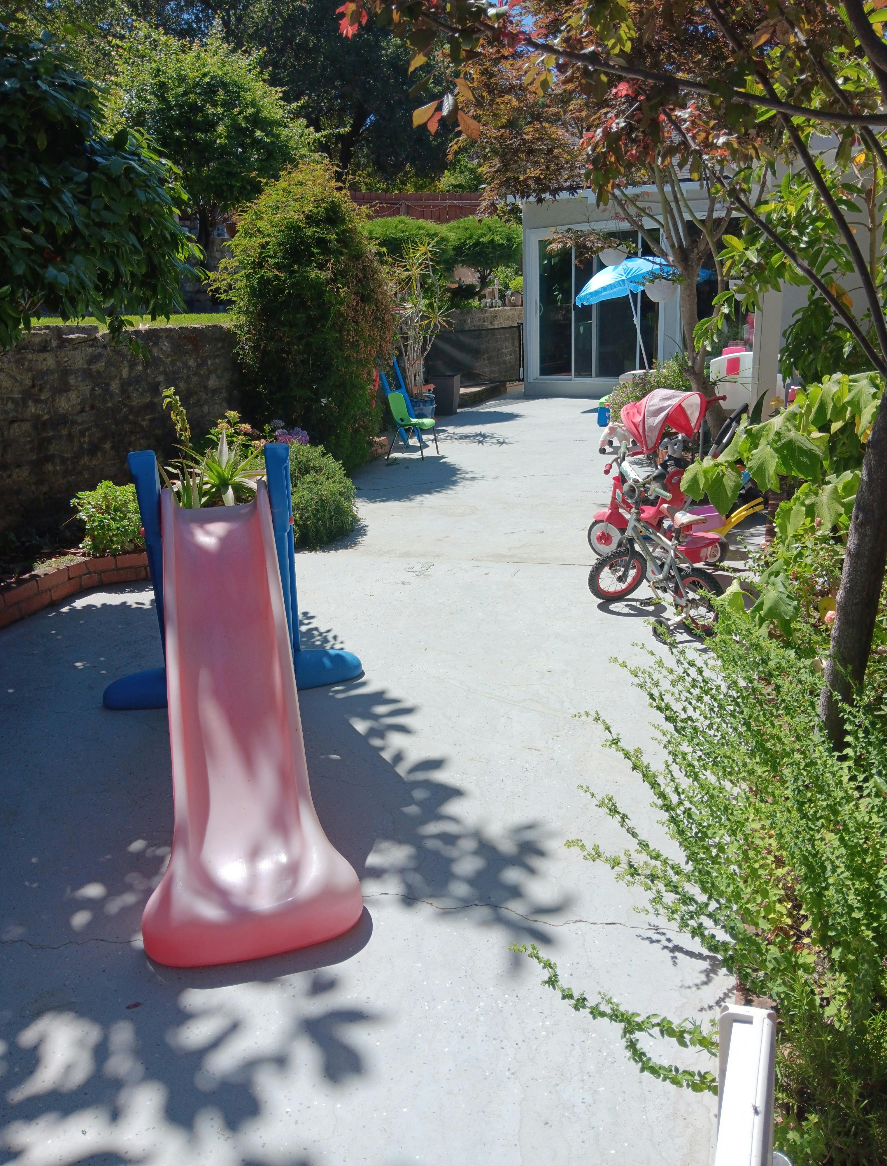 Pink and blue slide on a paved area with plants