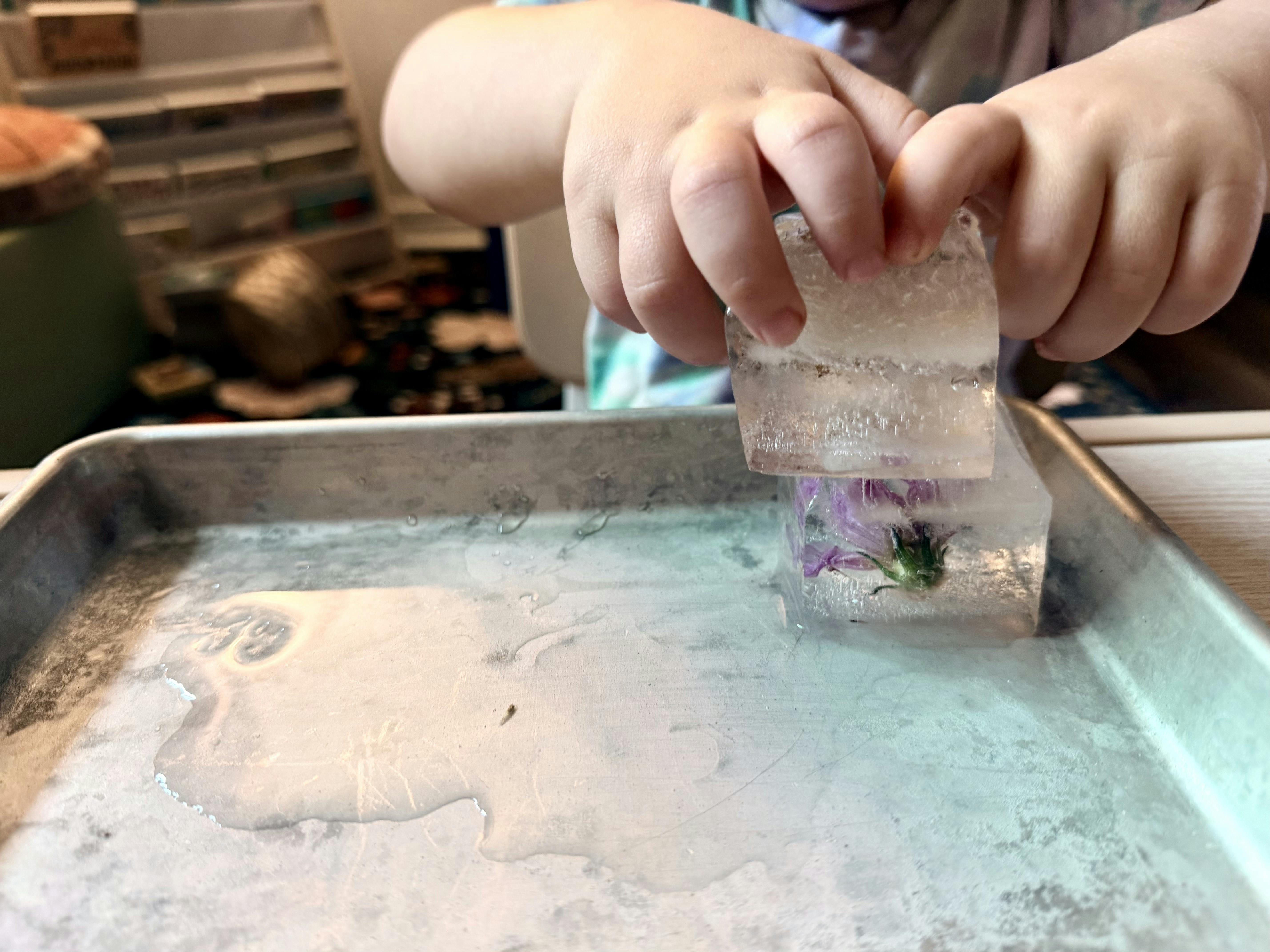 Child hands stacking ice blocks with embedded flowers on a tray