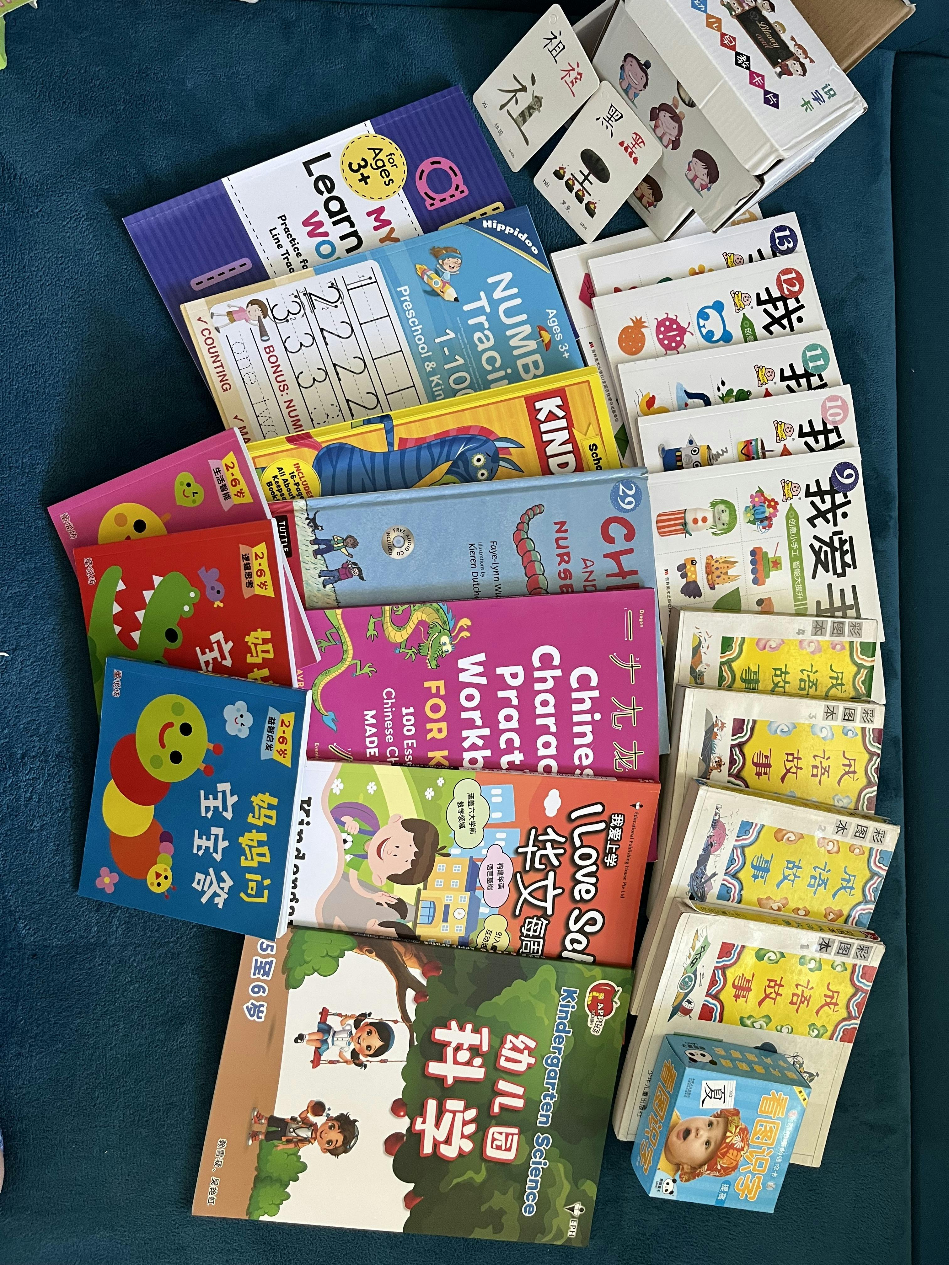 A collection of colorful children's educational books and learning cards