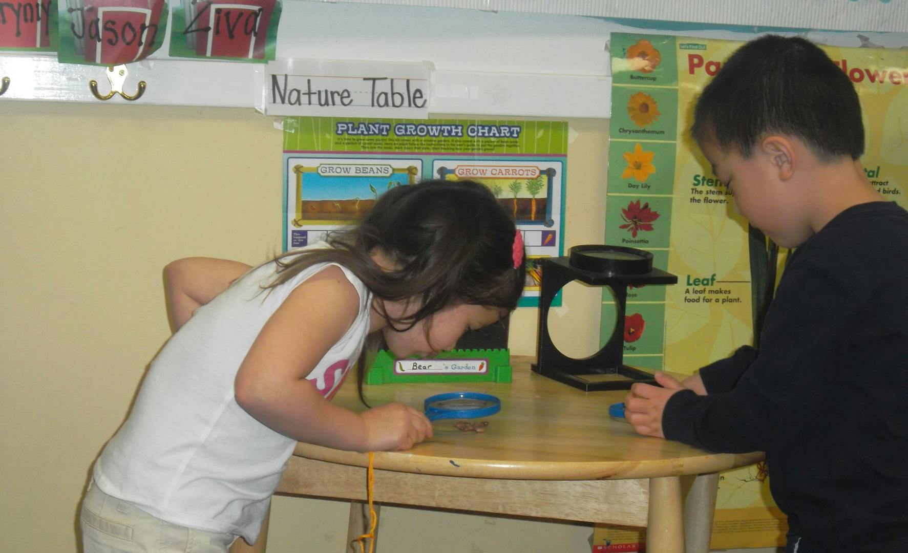 Two children looking at items on a nature table