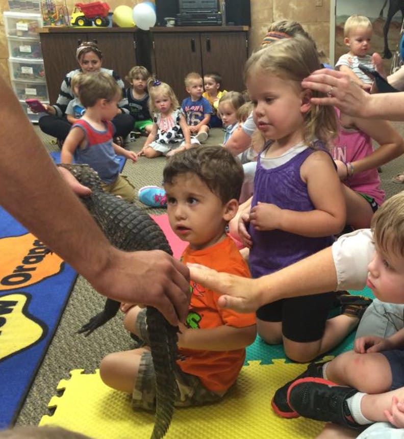 Person holding an alligator for children to observe