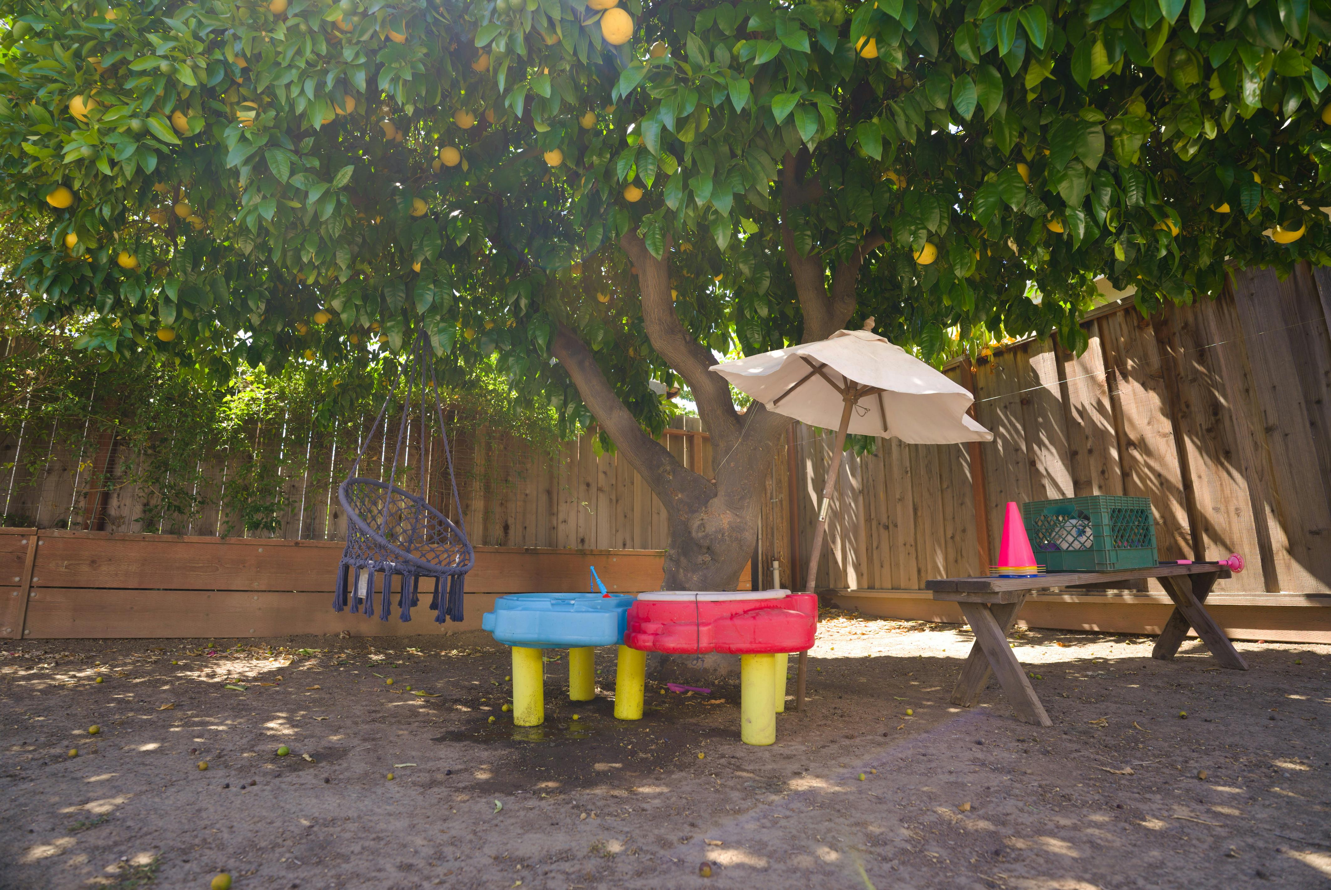 Backyard with a fruit tree, hammock chair, small play table, and umbrella