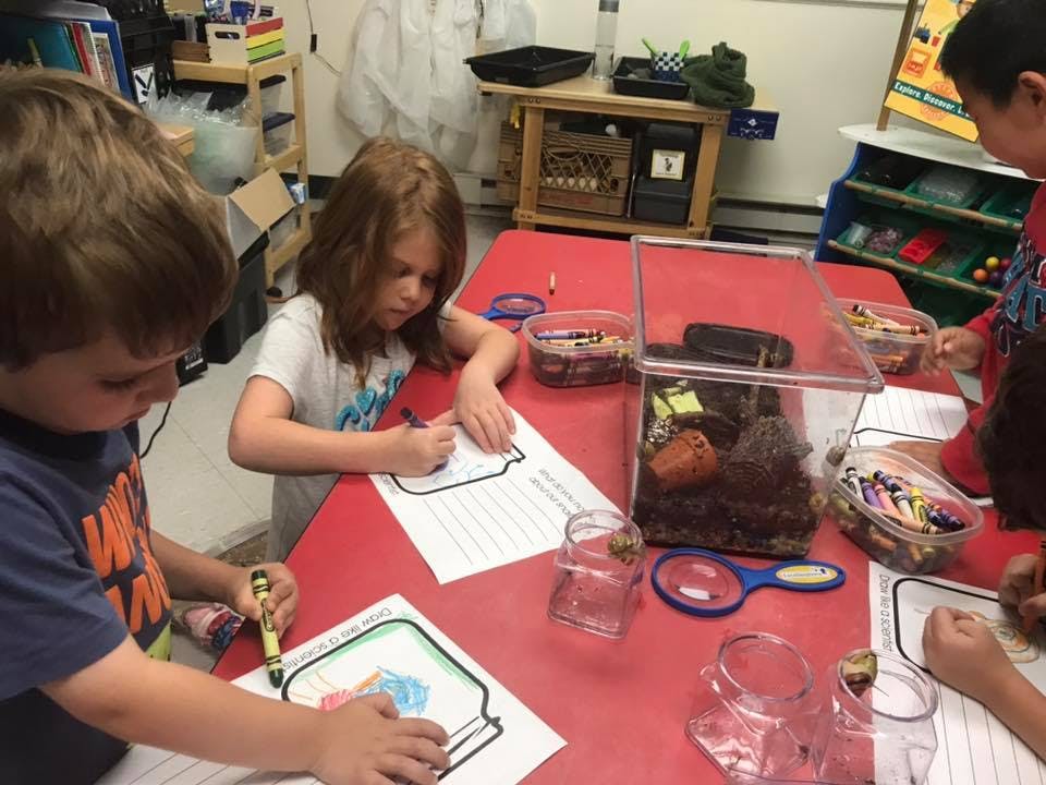Children drawing and coloring at a table with an insect habitat