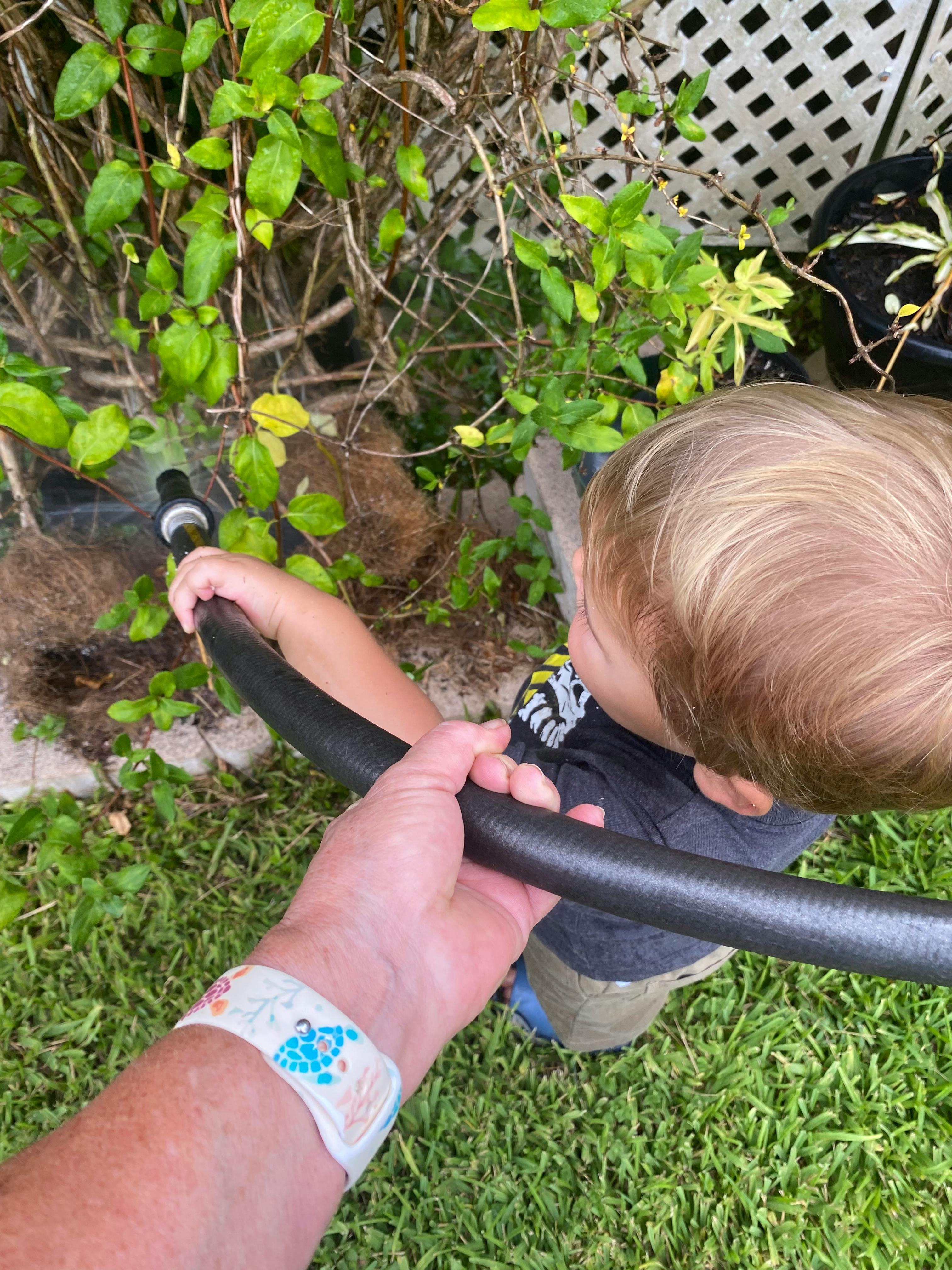 Adult and child holding a hose, watering plants