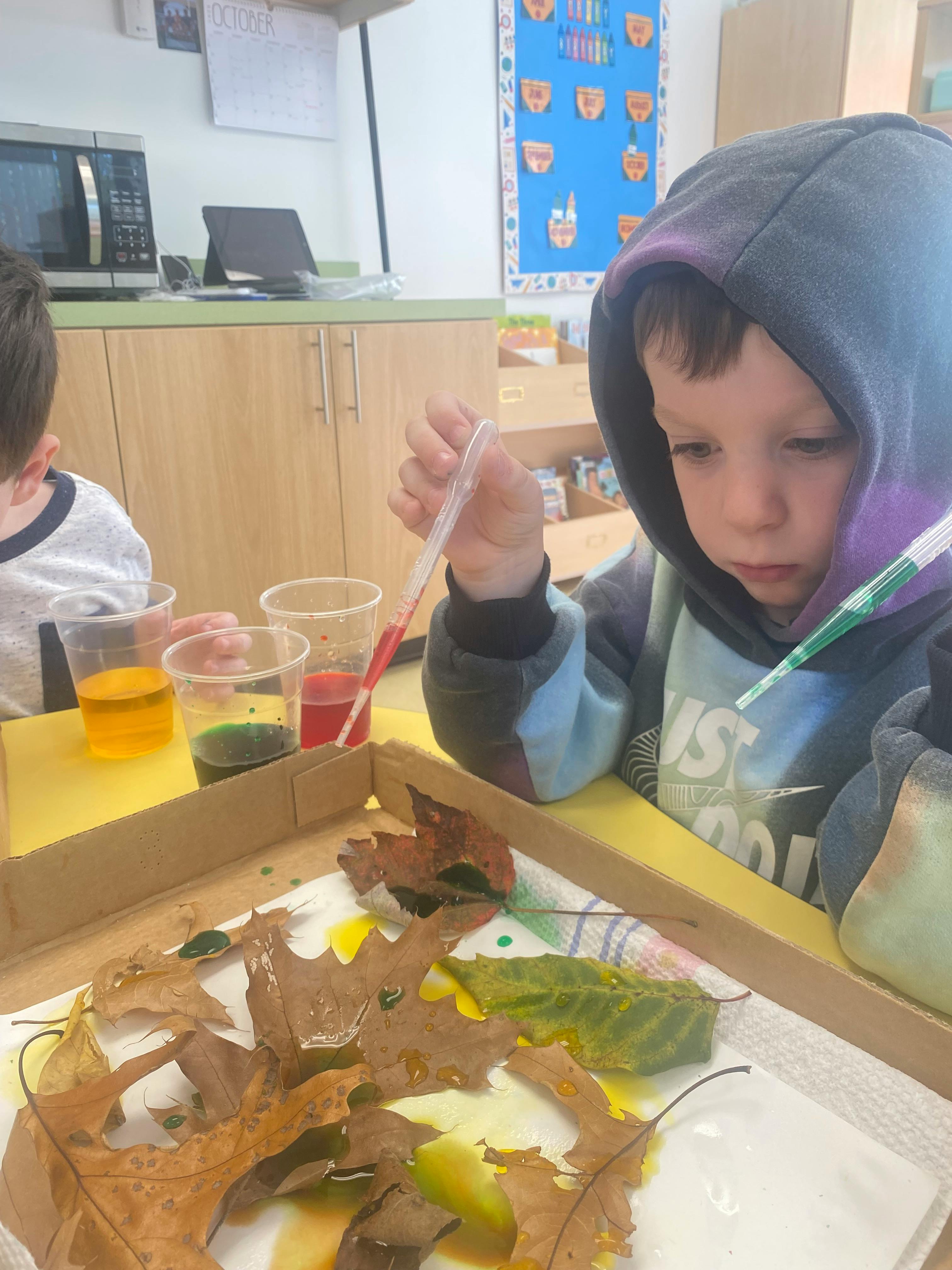 Child using droppers with colored liquid on leaves