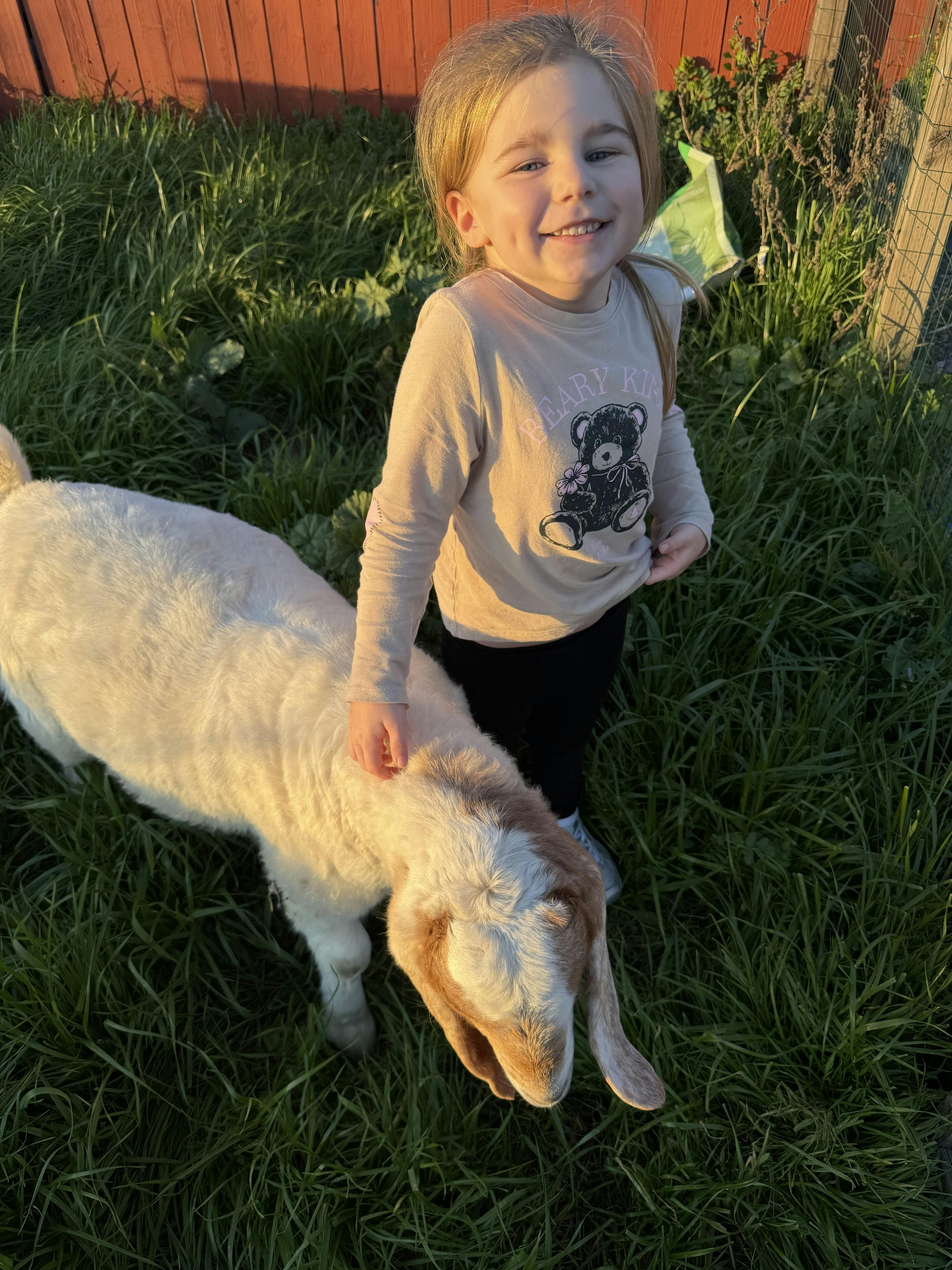 Child standing next to a goat in grass