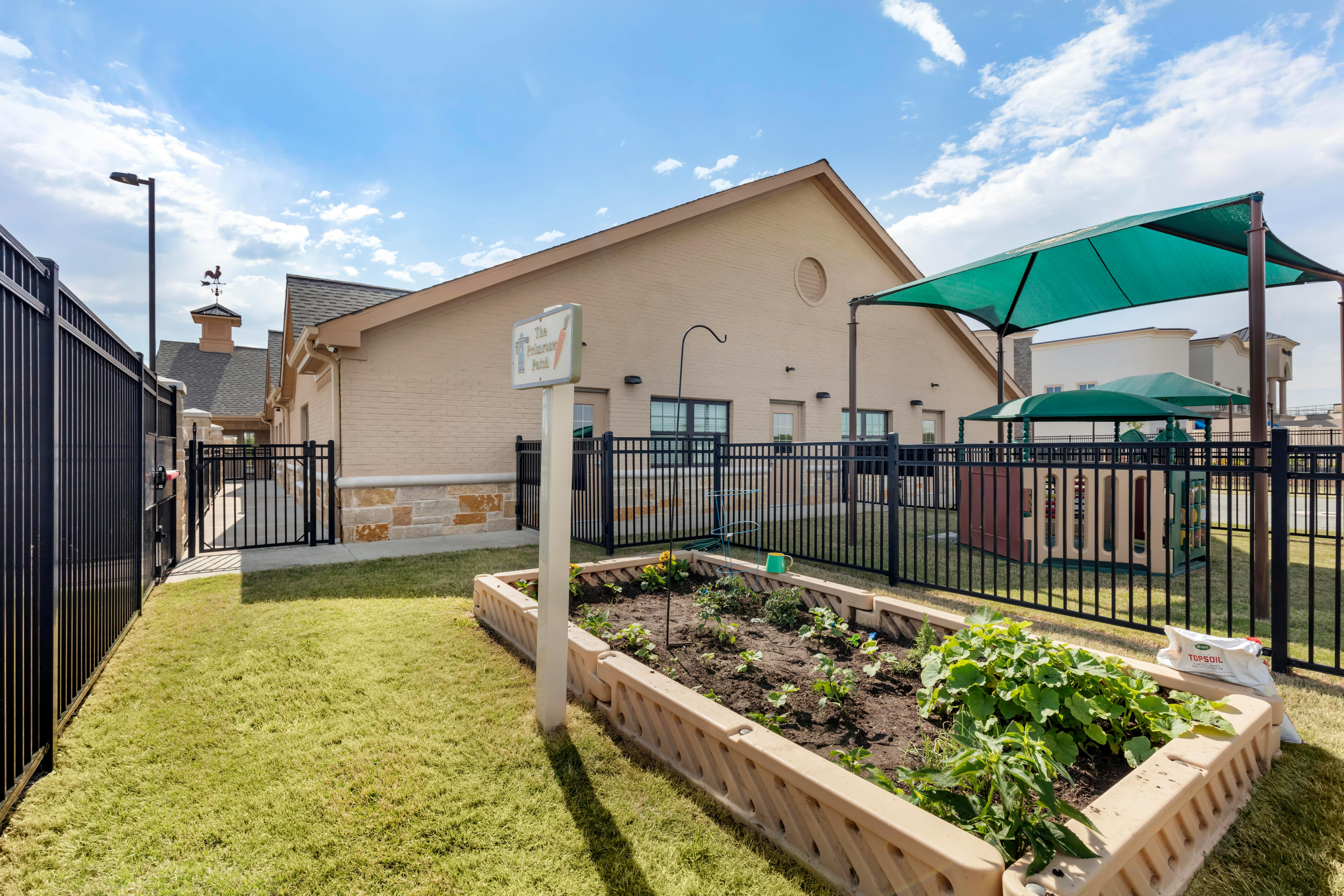 An outdoor garden bed with small plants next to a building and fenced playground