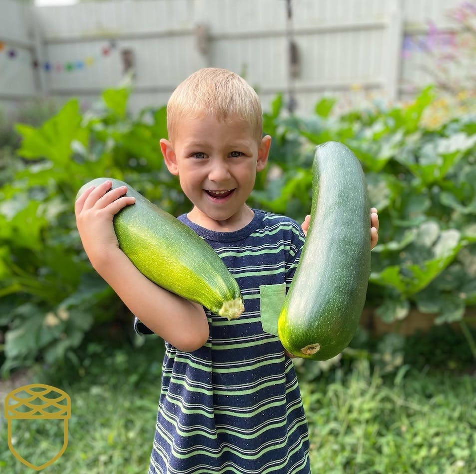 Child holding two large zucchini