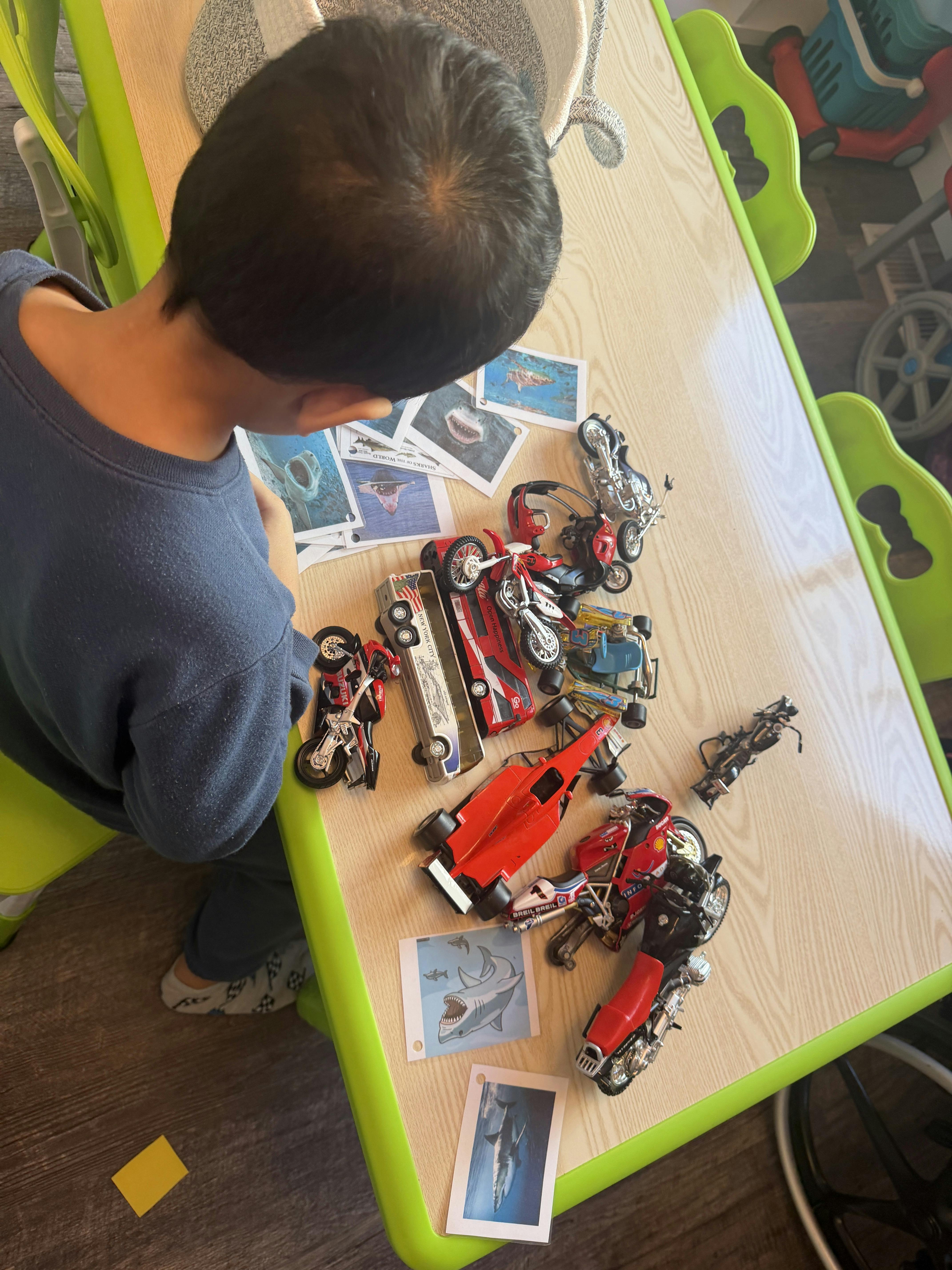 Child playing with toy vehicles and shark cards on a table