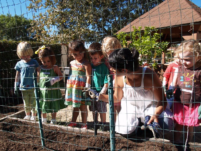 Adult and children planting in a garden