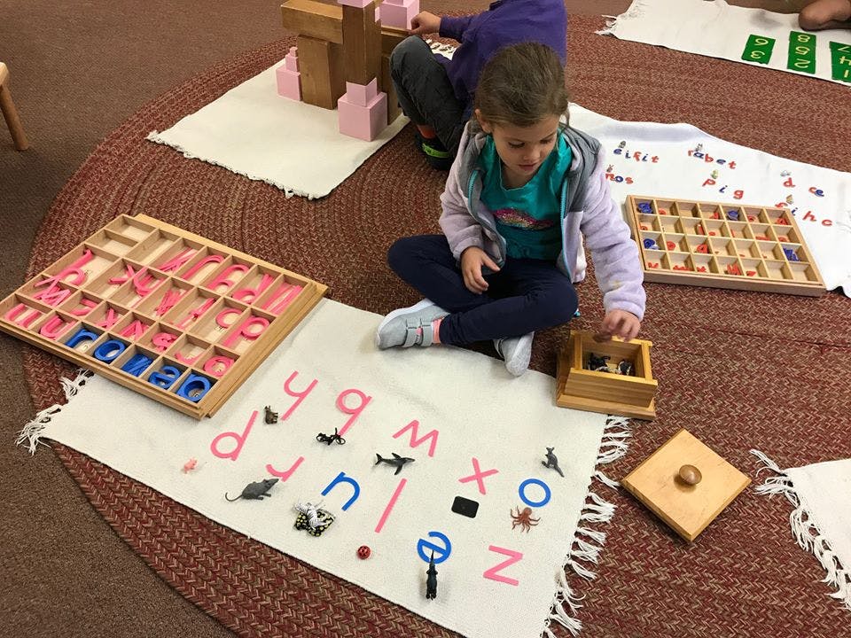 The Montessori School in Kalamazoo, MI