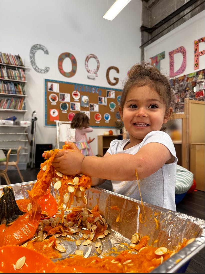 Child removing pumpkin guts and seeds from a pumpkin in a classroom