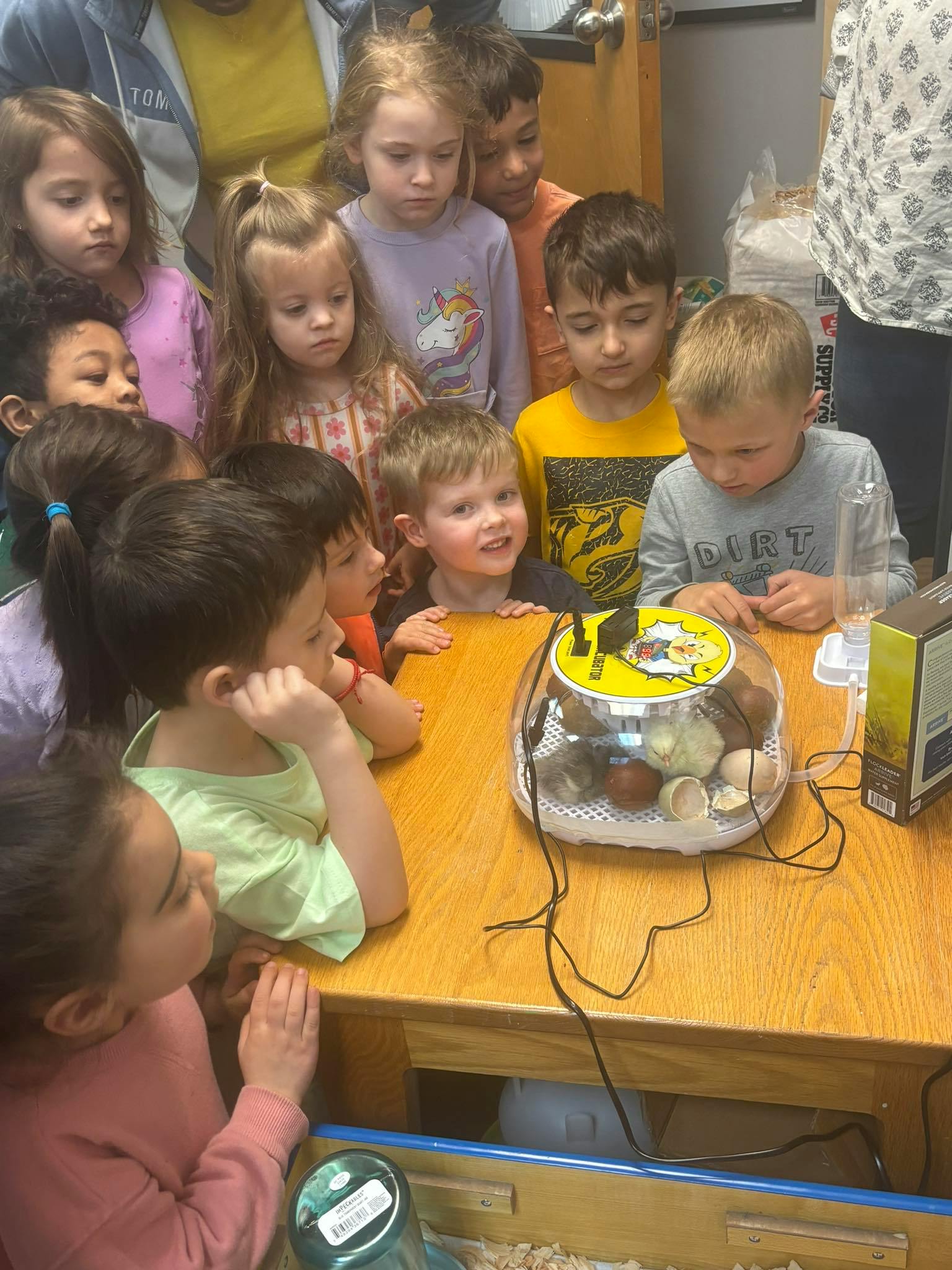 Children gathered around a table looking at an egg incubator