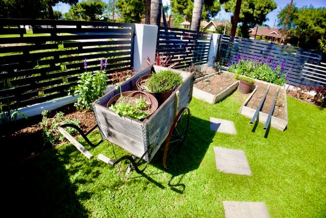 Decorative wooden cart with plants on a green lawn next to raised garden beds