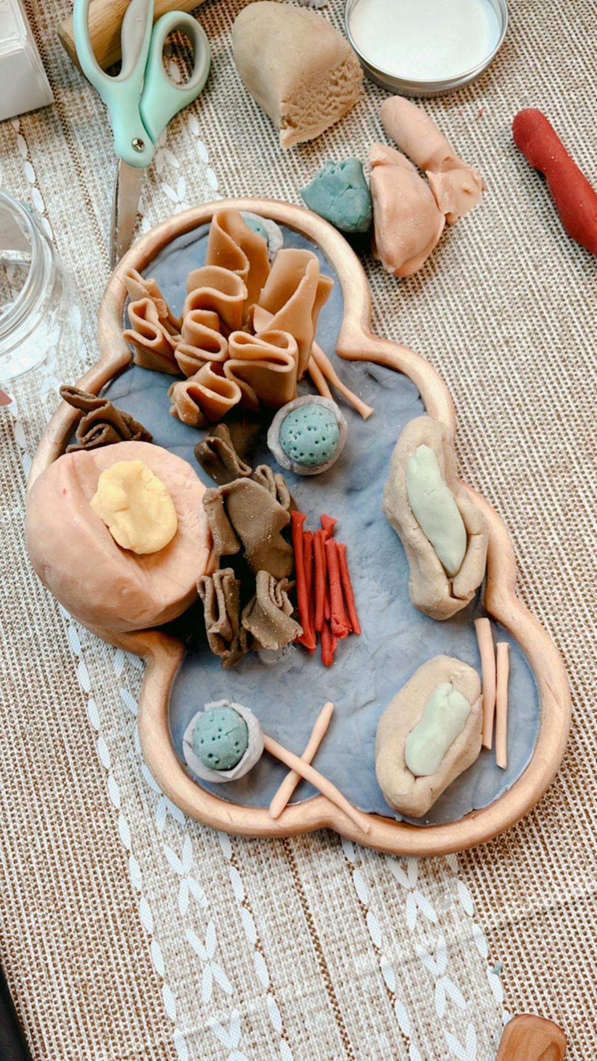 Play-doh creations on a tray, including shapes resembling pasta and cells