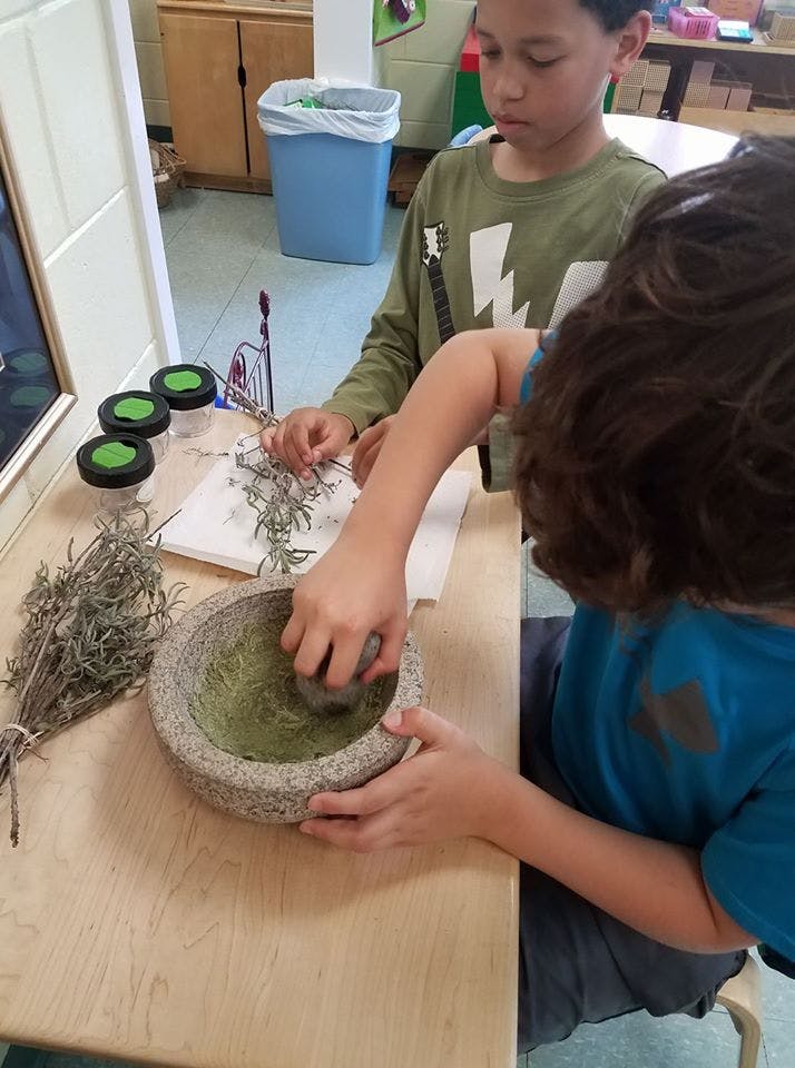 Two children grinding herbs in a mortar and pestle