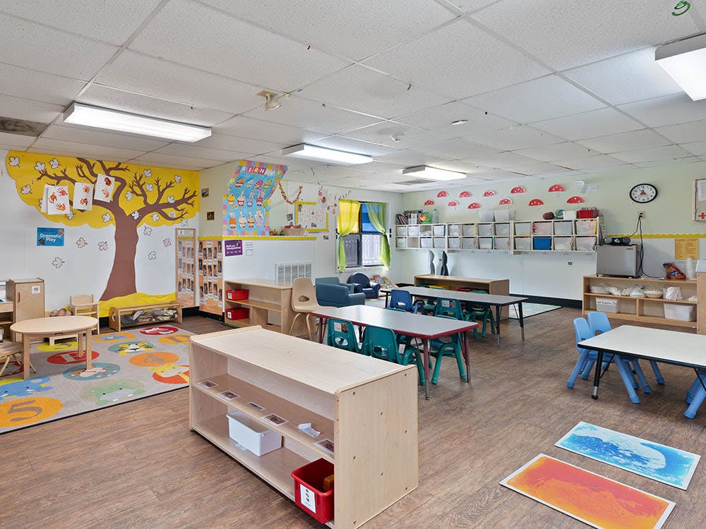 Classroom with tables, chairs, shelves, and a large tree mural on the wall
