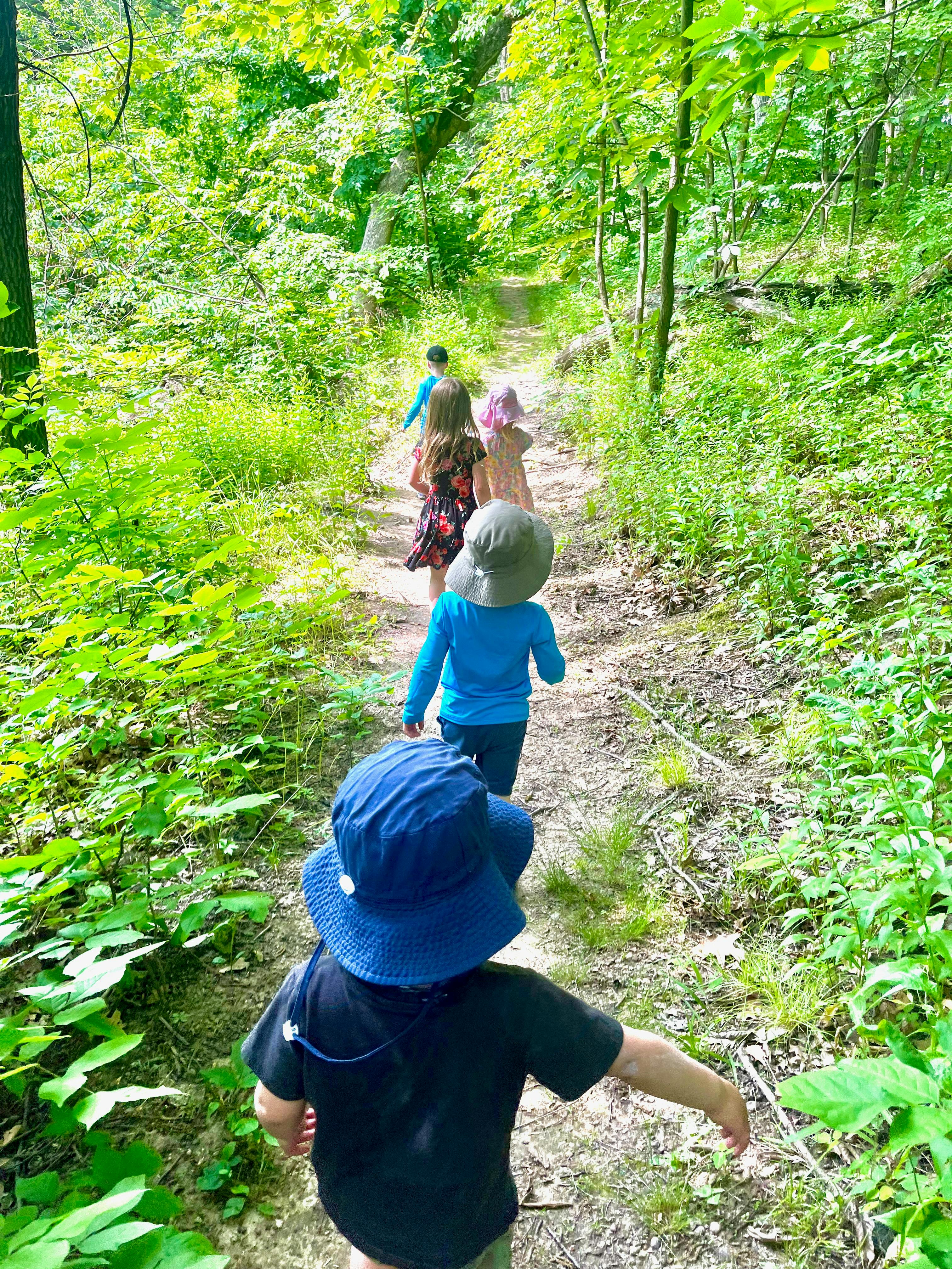 Children walking on a dirt path through a forest