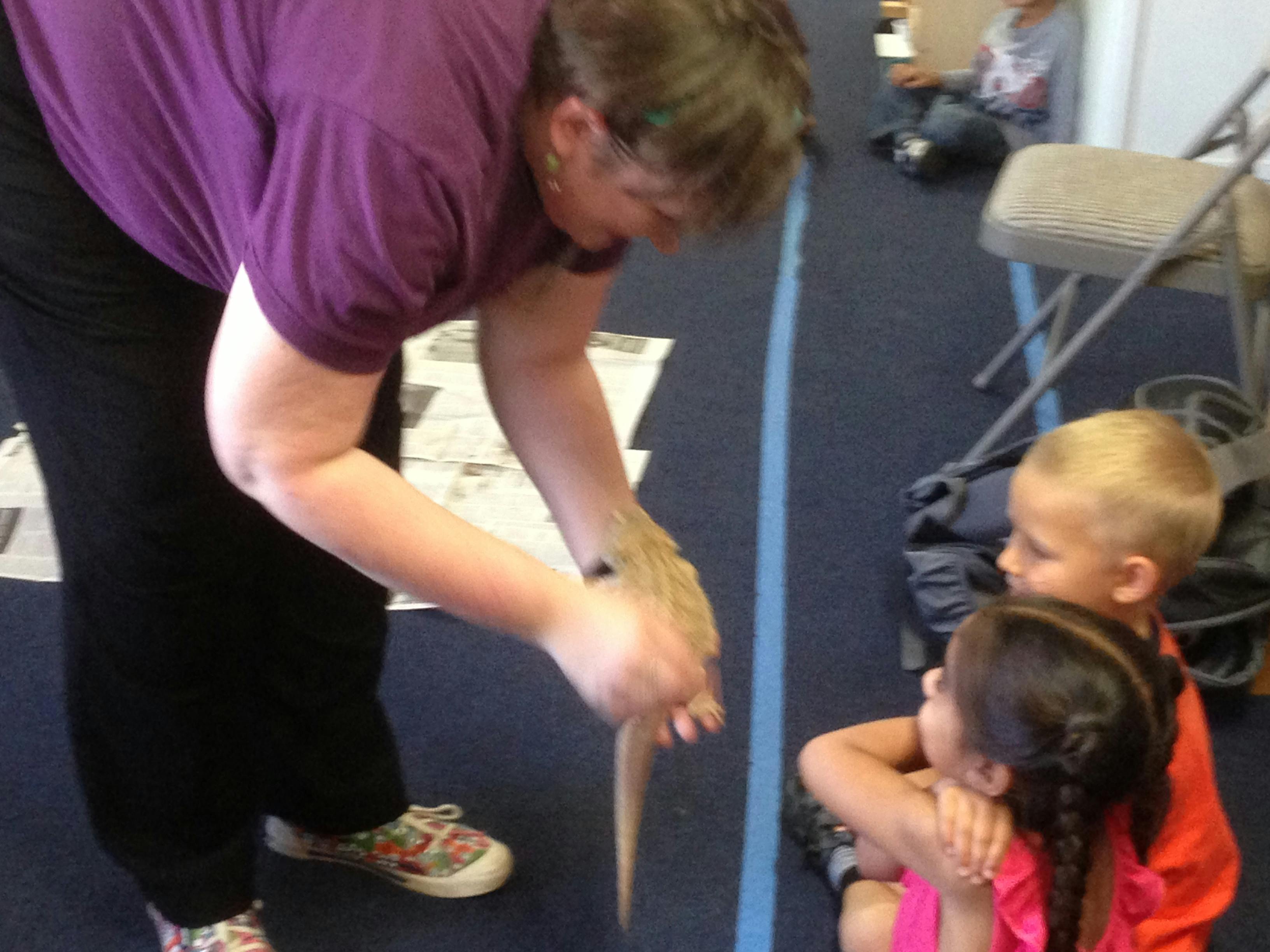 Person holding a snake for two children