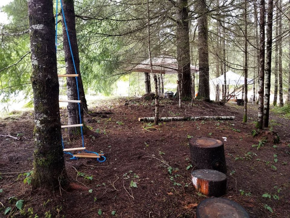 Rope ladder on a tree in a wooded area with structures in the background