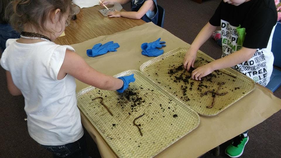 Children playing with worms and dirt in trays