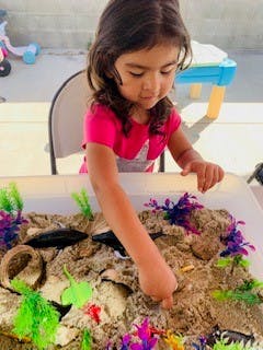 Child playing with sand and plastic plants in a tray