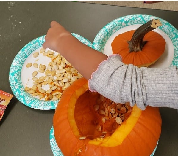 Child's arm reaching into a pumpkin to remove seeds
