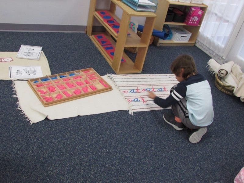 Waterfront Montessori Preschool in Jersey City, NJ Winnie