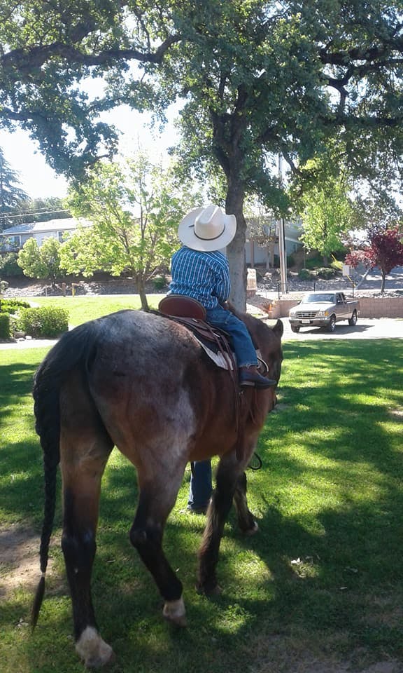 Child in a cowboy hat riding a horse