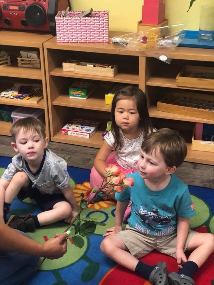 Montessori Of Malibu Canyon Daycare in Calabasas, CA Winnie