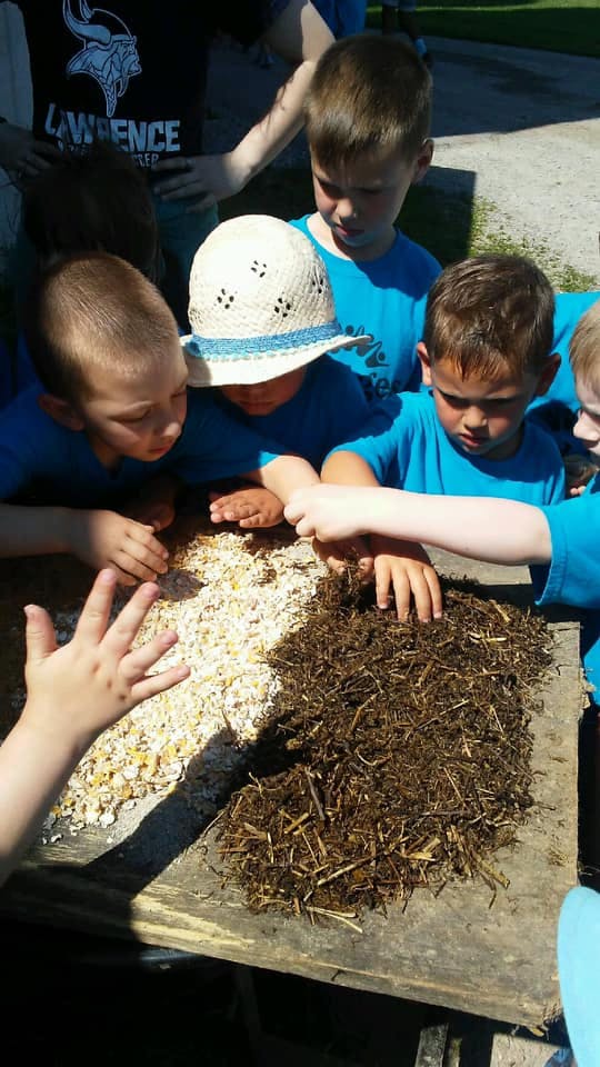 Children interacting with piles of wood shavings and mulch