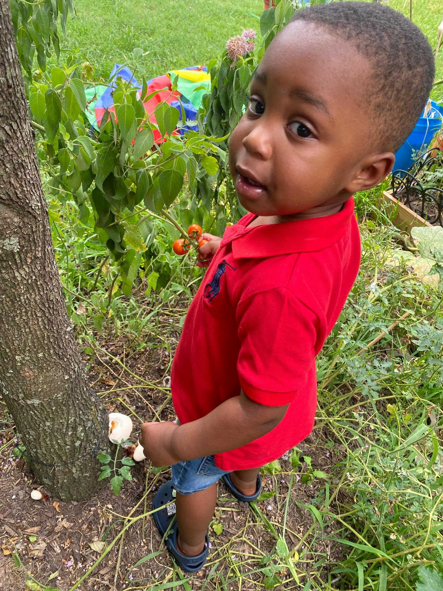 Child in red shirt holding small red berries and touching a mushroom