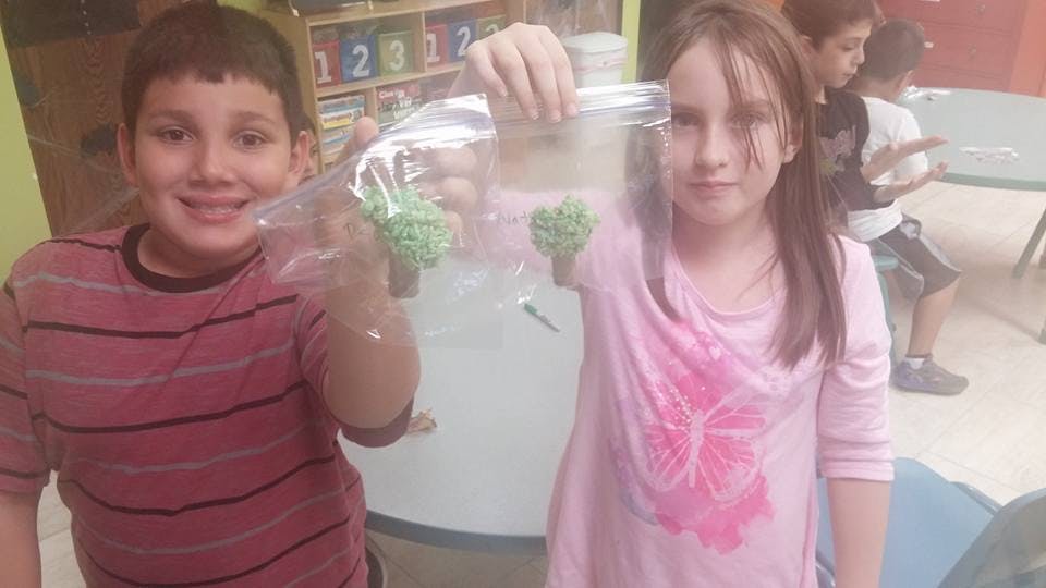 Two children holding up plastic bags with green objects inside