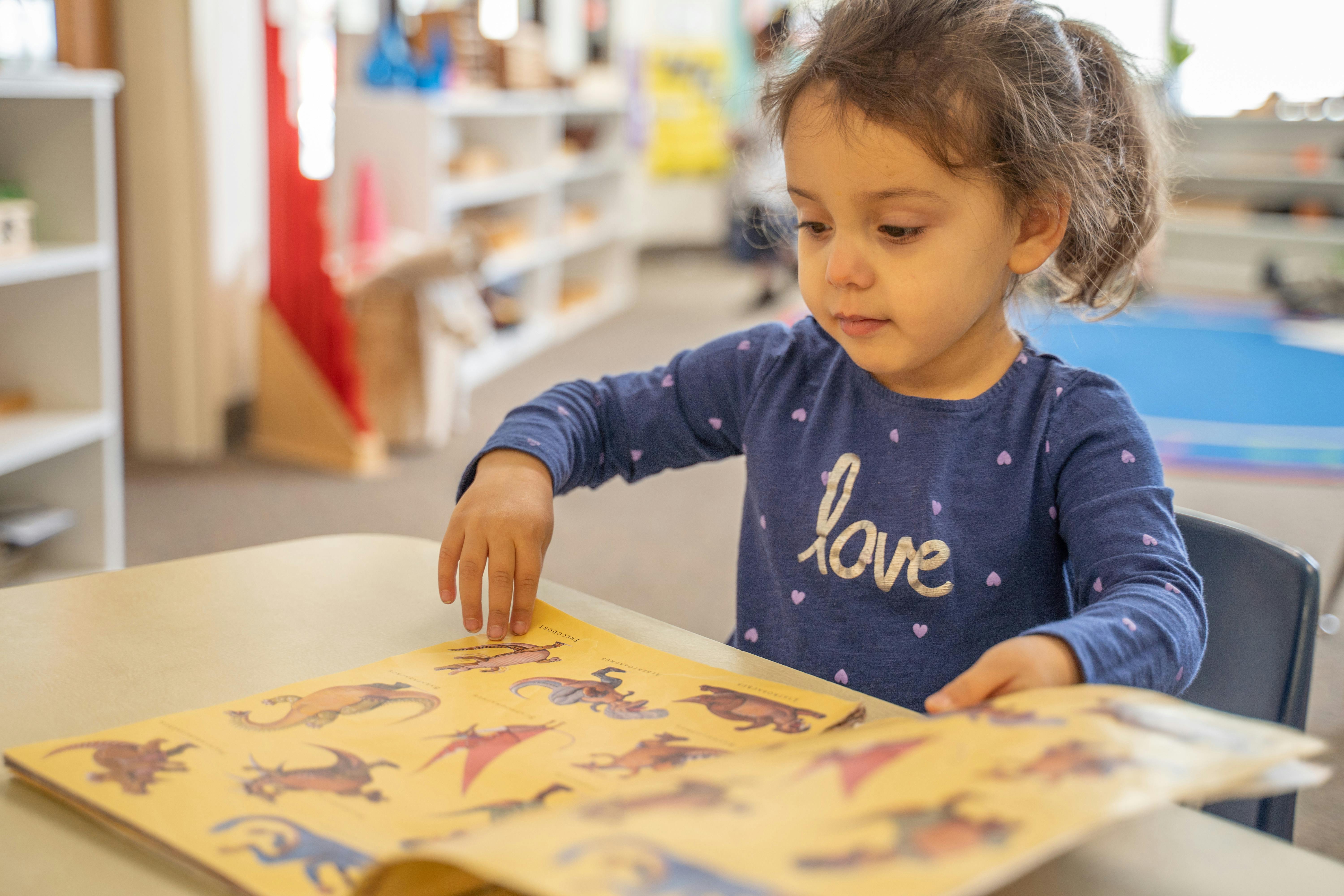 Child looking at a book with illustrations
