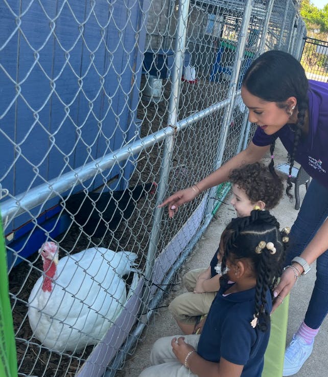 Person and two children looking at a turkey in a cage