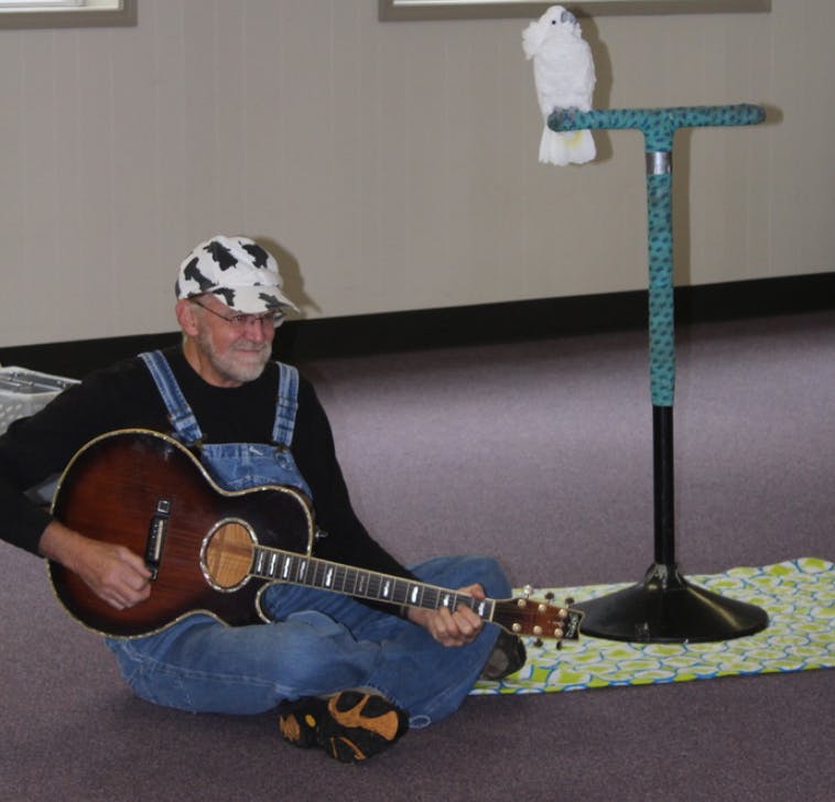 Person playing guitar with a white bird on a perch