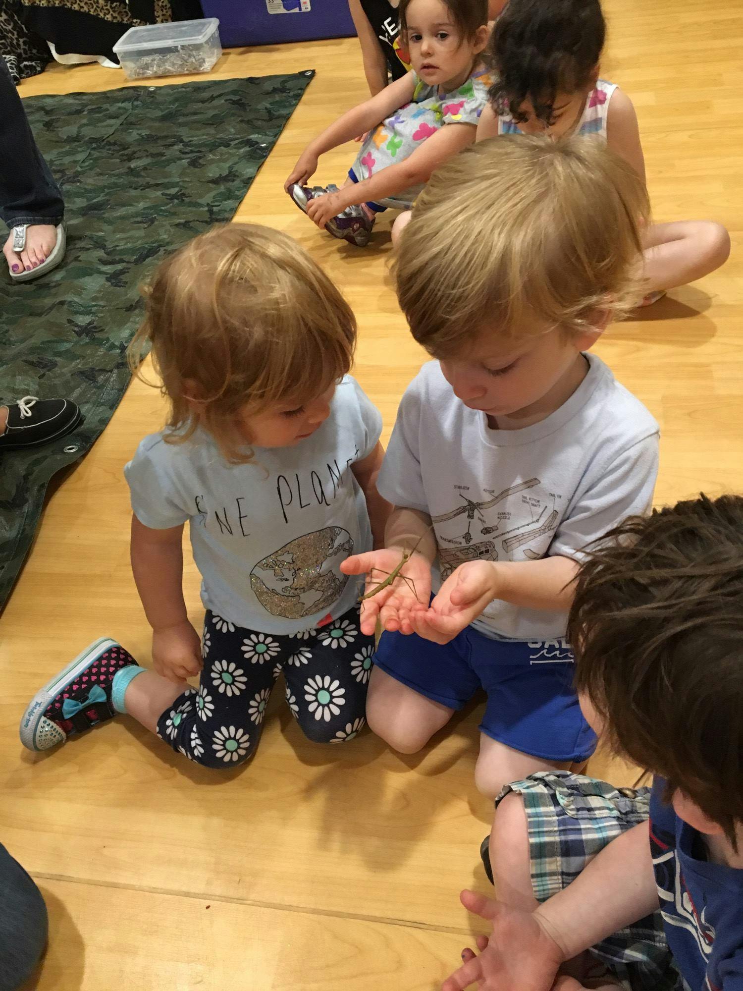 Two children looking at an insect held in a child's hands