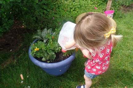 Child watering a potted plant outdoors
