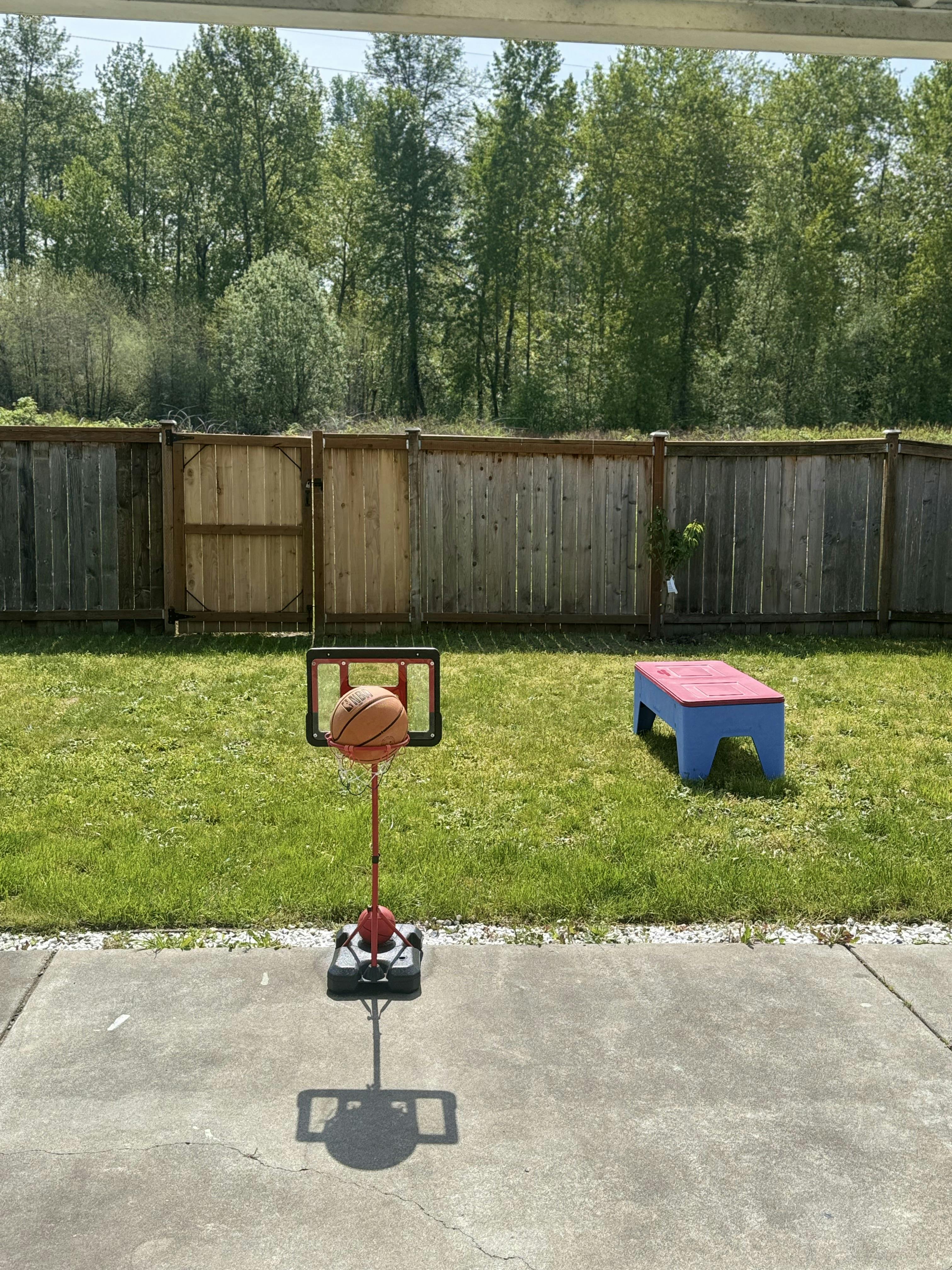 Basketball in a small hoop on a grassy lawn with a fence and trees